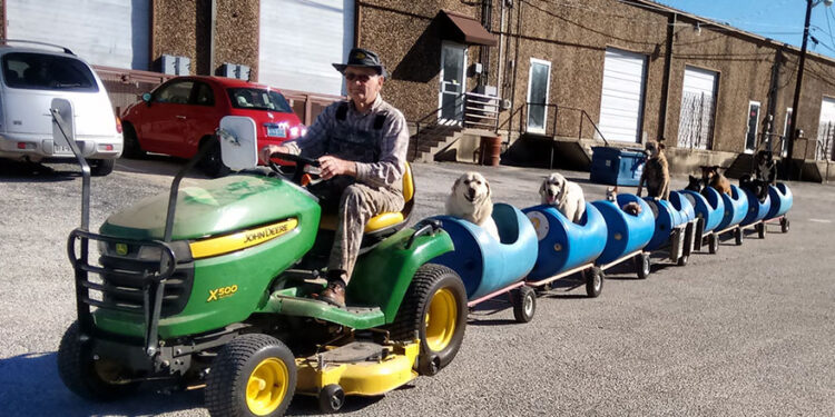 80-Year-Old Grandpa Builds A Dog Train To Take Rescued Dogs On Adventures